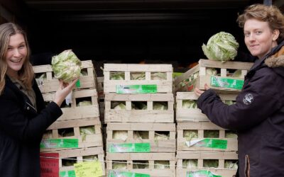 ‘Mijn droom is om Rotterdam te verduurzamen’