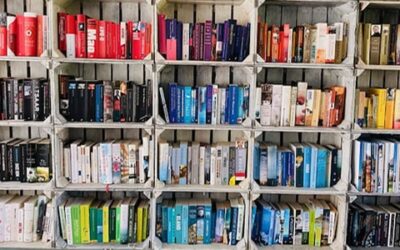 Met deze boeken en series kom je deze zomer moeiteloos door